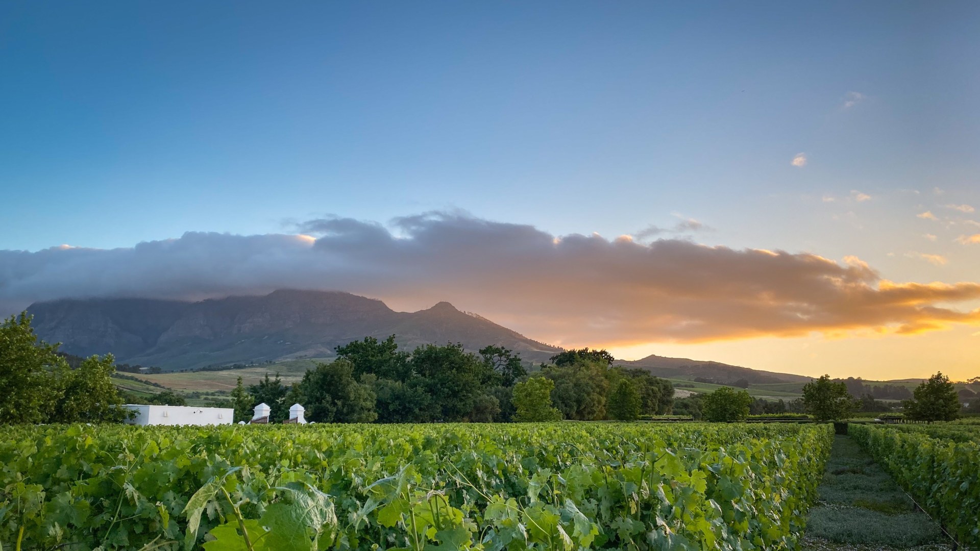 Roadtrip entlang der Garden Route